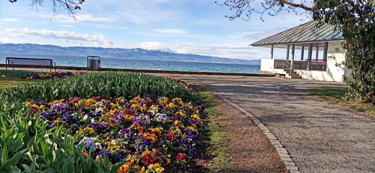 Bodensee Apartments Kressbronn "Haus Am Seepark" Kressbronn am Bodensee Eksteriør bilde